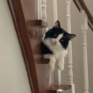 Meet your Posher, Eva